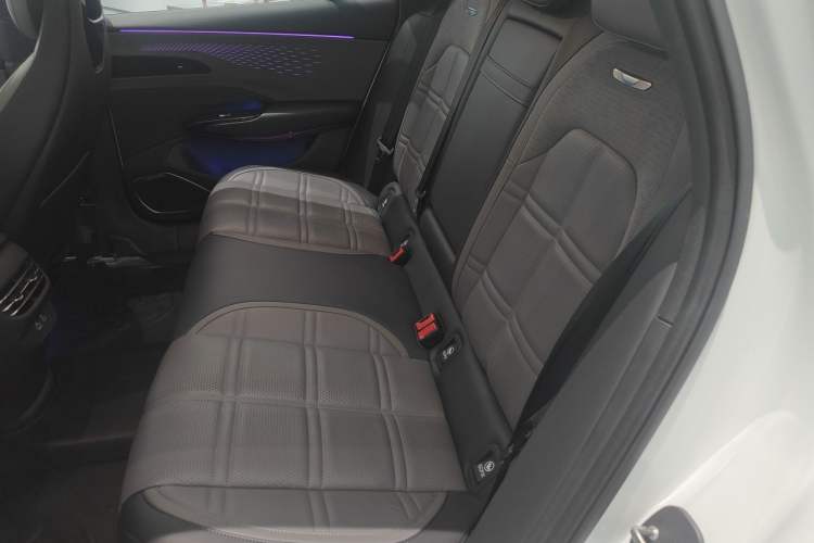 Used Hongqi EH7 2024 690 Pro Left Rear Seat