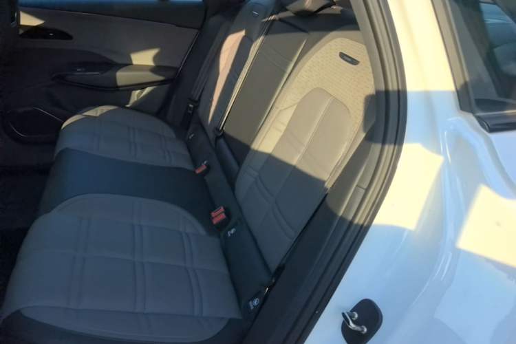Used Hongqi EH7 2024 820 Pro Left Rear Seat