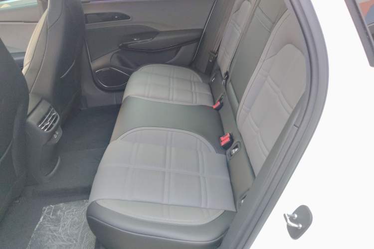 Used Hongqi EH7 2024 760 Pro+ Four-Wheel Drive Version Left Rear Seat