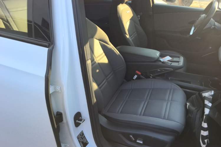 Used Hongqi EH7 2024 820 Pro Right Front Seat
