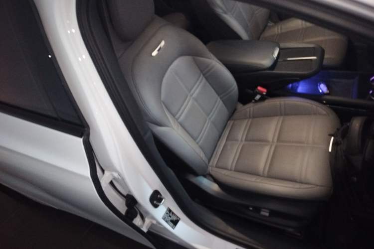 Used Hongqi EH7 2024 690 Pro Right Front Seat