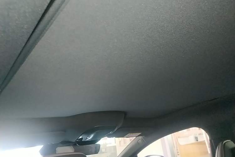 Used Hongqi EH7 2025 640 All-Wheel Drive Smart Selection Edition Headliner
