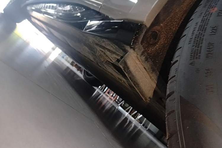 Used Hongqi EH7 2025 640 All-Wheel Drive Smart Selection Edition Left Side Sill