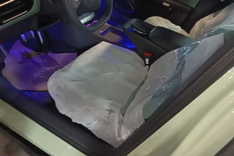 Used Hongqi EH7 2025 690 Smart Selection Edition Left Front Seat