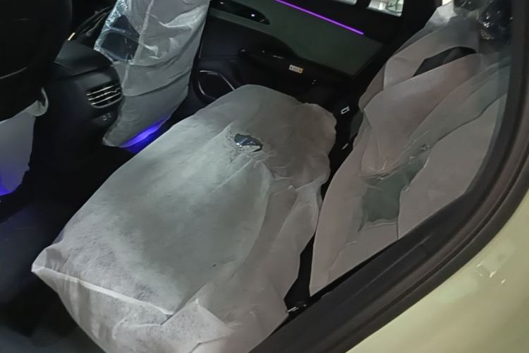Used Hongqi EH7 2025 690 Smart Selection Edition Left Rear Seat