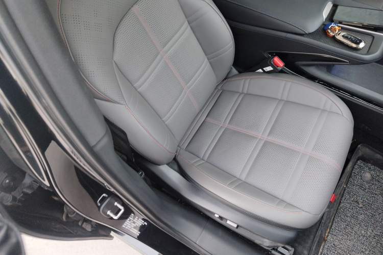 Used Hongqi EH7 2025 600 Smart Selection Edition Right Front Seat
