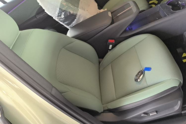 Used Hongqi EH7 2025 600 Smart Selection Edition Right Front Seat