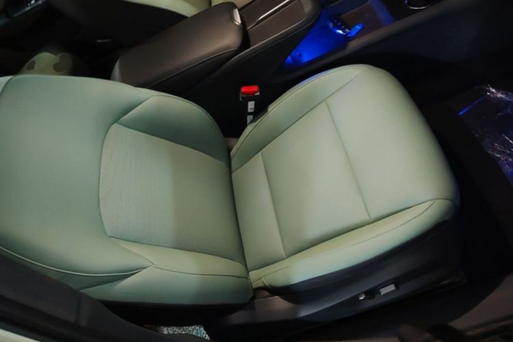 Used Hongqi EH7 2025 600 Smart Selection Edition Right Front Seat