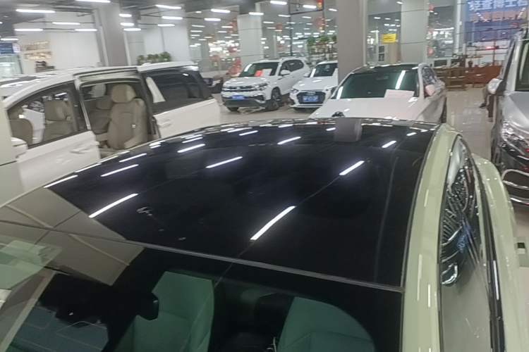Used Hongqi EH7 2025 690 Smart Selection Edition Roof