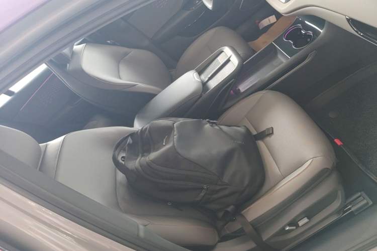 Used Hongqi EH7 2025 640 All-Wheel Drive Smart Selection Edition Right Front Seat