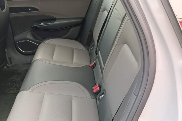 Used Hongqi EH7 2025 640 All-Wheel Drive Smart Selection Edition Left Rear Seat
