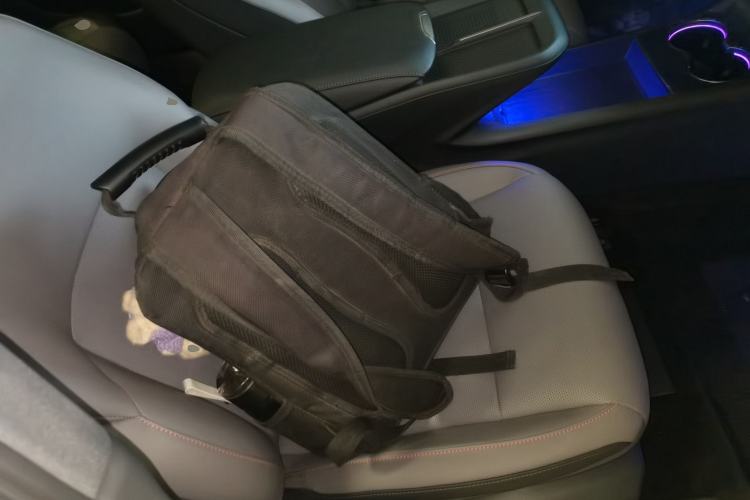 Used Hongqi EH7 2025 600 Smart Selection Edition Right Front Seat
