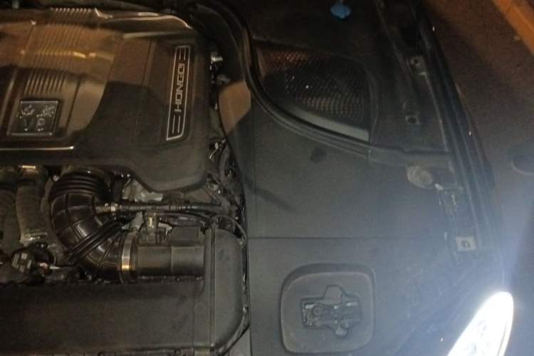 Used Hongqi Guoya 2024 4.0T V8 Version Engine Bay Left