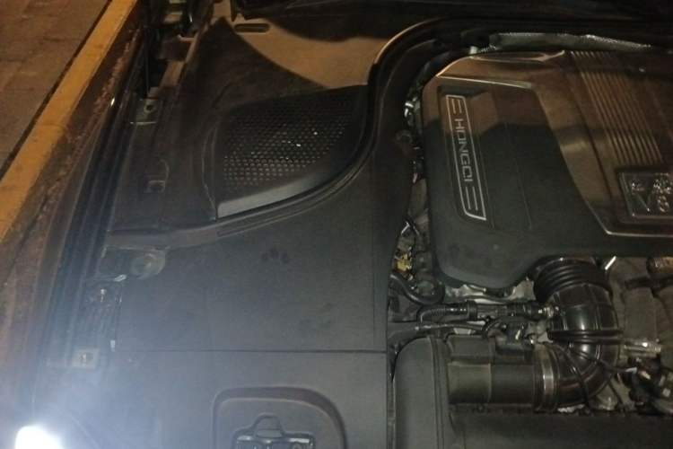 Used Hongqi Guoya 2024 4.0T V8 Version Engine Bay Right
