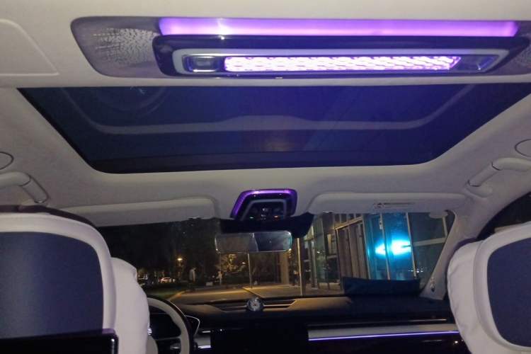 Used Hongqi Guoya 2024 4.0T V8 Version Headliner