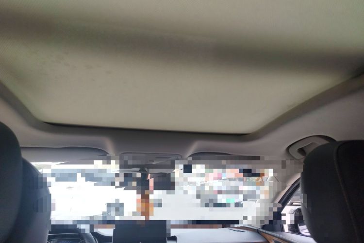 Used Hongqi H5 2018 30TD Smart Connect Dynamic Edition Headliner