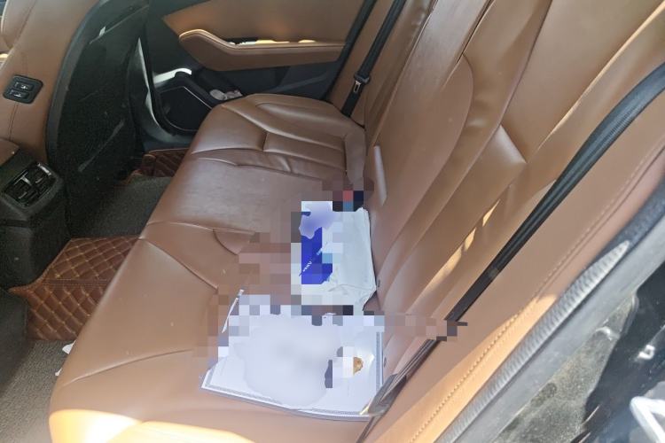 Used Hongqi H5 2018 30TD Smart Connect Dynamic Edition Left Rear Seat