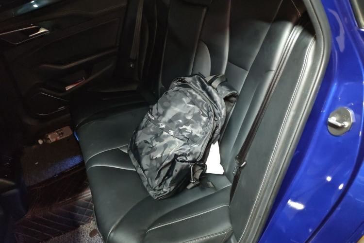 Used Hongqi H5 2018 30TD Smart Connect Dynamic Edition Left Rear Seat