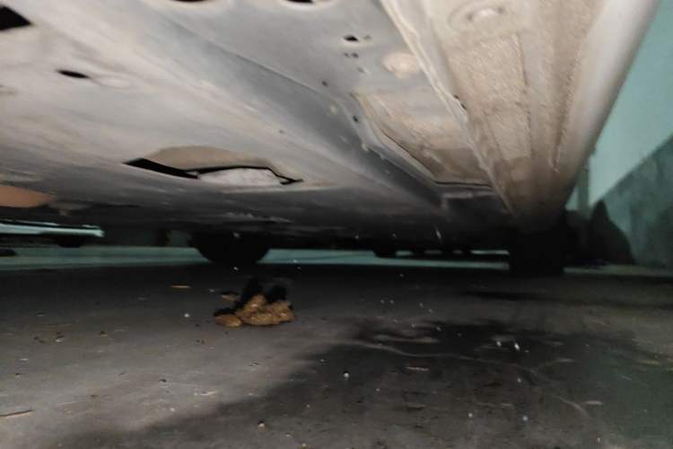 Used Hongqi H5 2018 30TD Smart Connect Dynamic Edition Chassis Rear Right