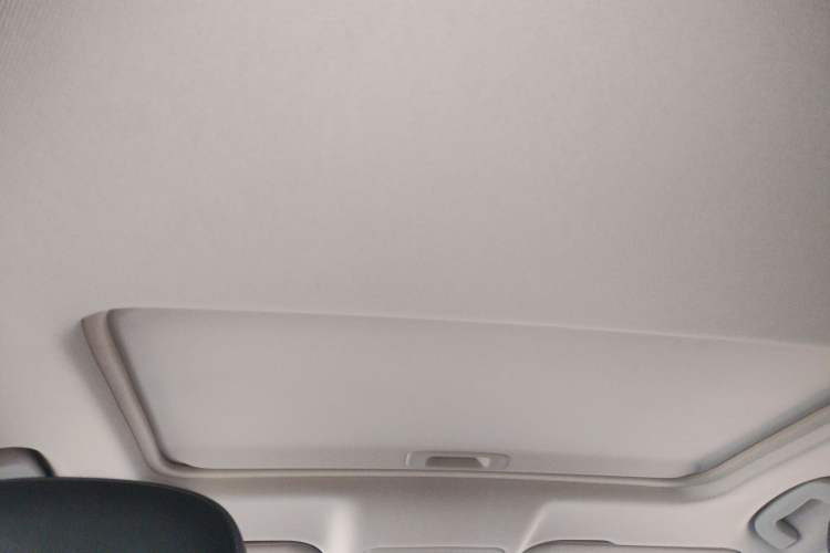 Used Hongqi H5 2018 30TD Smart Connect Dynamic Edition Headliner