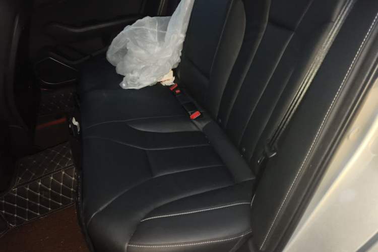 Used Hongqi H5 2018 30TD Dynamic Edition Left Rear Seat
