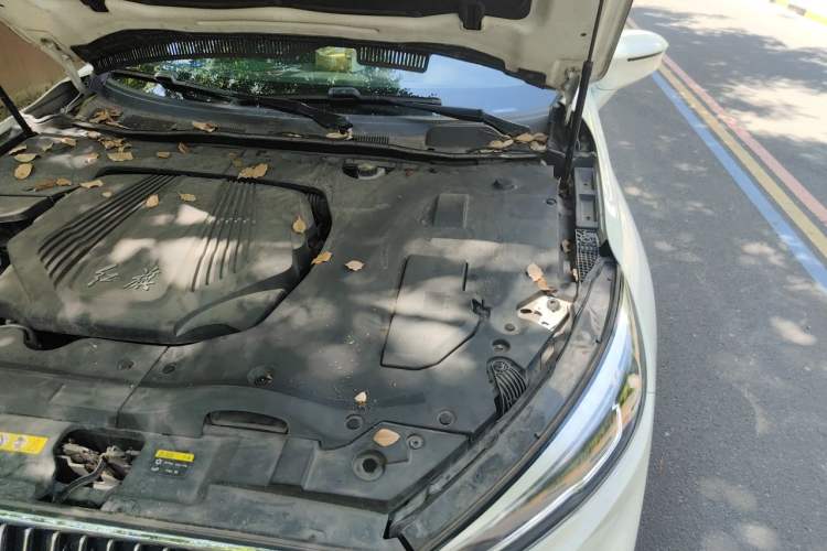 Used Hongqi H5 2018 30TD Dynamic Edition Engine Bay Left