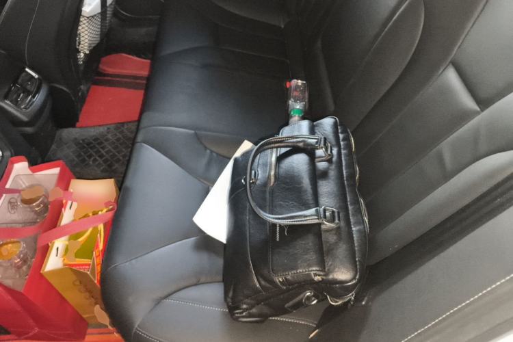 Used Hongqi H5 2018 30TD Smart Connect Dynamic Edition Left Rear Seat