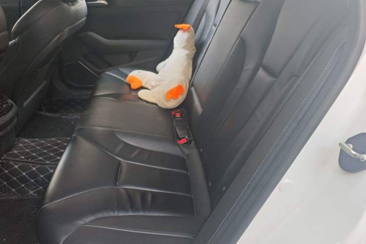 Used Hongqi H5 2018 30TD Smart Connect Dynamic Edition Left Rear Seat
