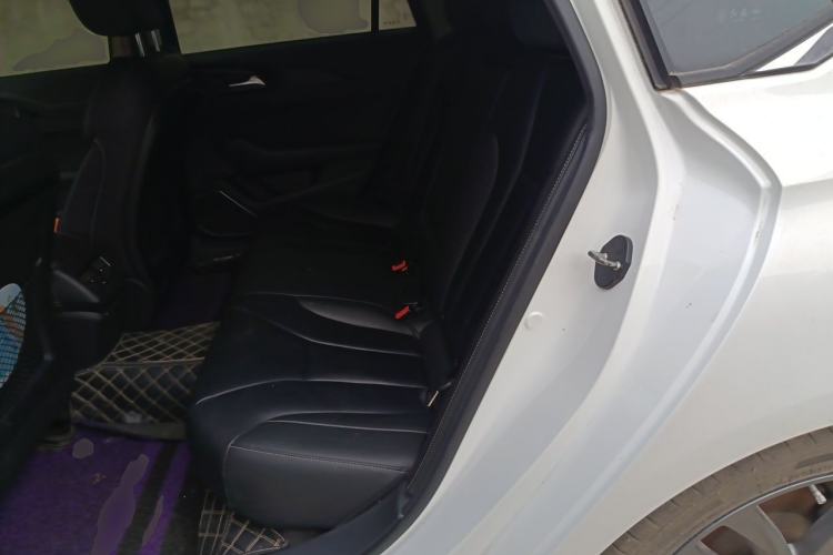 Used Hongqi H5 2018 30TD Smart Connect Dynamic Edition Left Rear Seat