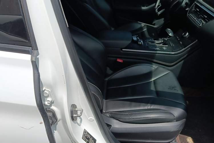 Used Hongqi H5 2018 30TD Dynamic Edition Right Front Seat