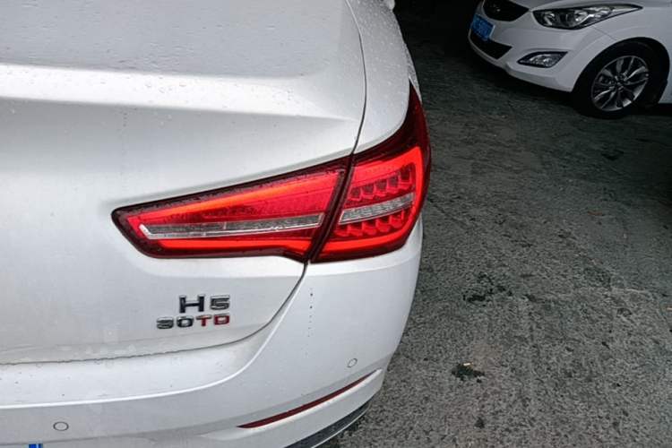 Used Hongqi H5 2018 30TD Smart Connect Dynamic Edition Right Rear Taillight