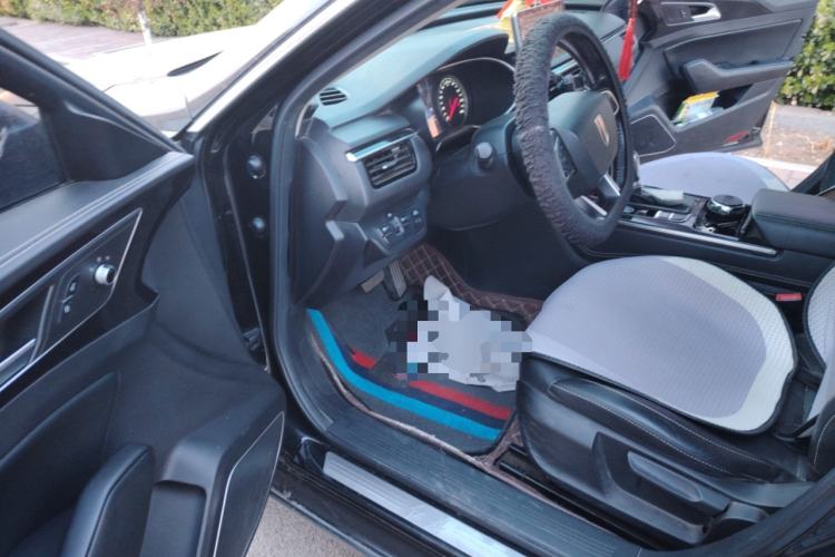 Used Hongqi H5 2019 30TD Dynamic Edition Driver Seat