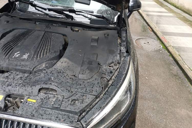 Used Hongqi H5 2019 30TD Dynamic Edition Engine Bay Left