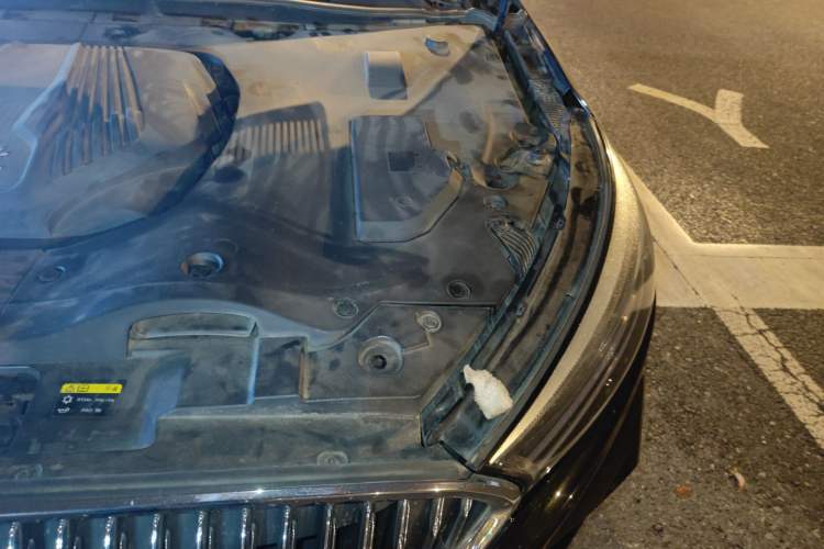 Used Hongqi H5 2019 30TD Smart Connect Enjoy Edition Engine Bay Left