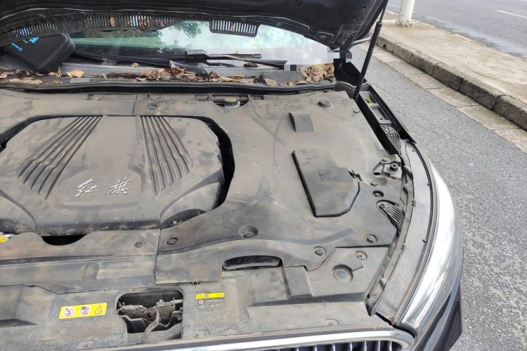 Used Hongqi H5 2019 30TD Dynamic Edition Engine Bay Left