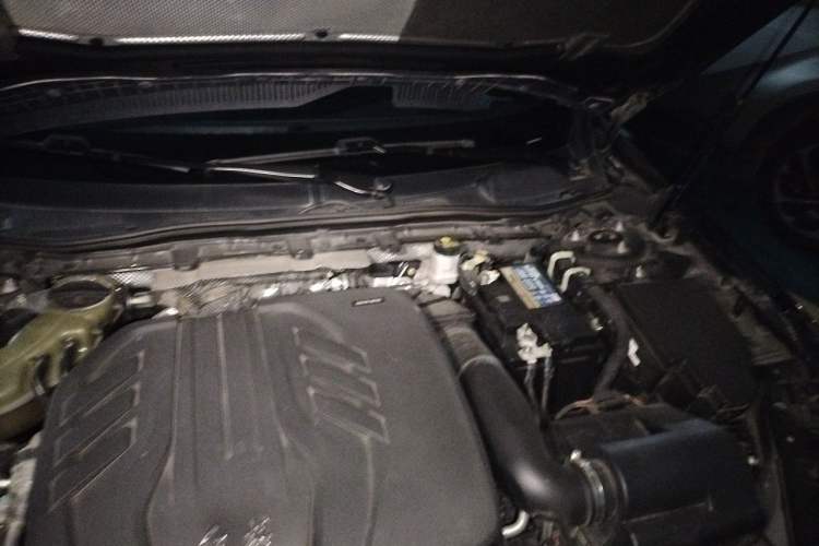 Used Hongqi H5 2019 30TD Dynamic Edition Engine Bay Left