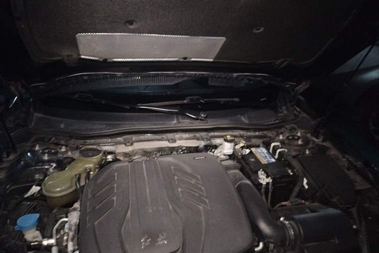 Used Hongqi H5 2019 30TD Dynamic Edition Engine Bay