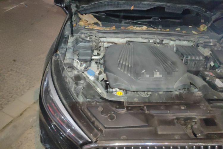 Used Hongqi H5 2019 30TD Dynamic Edition Engine Bay Right