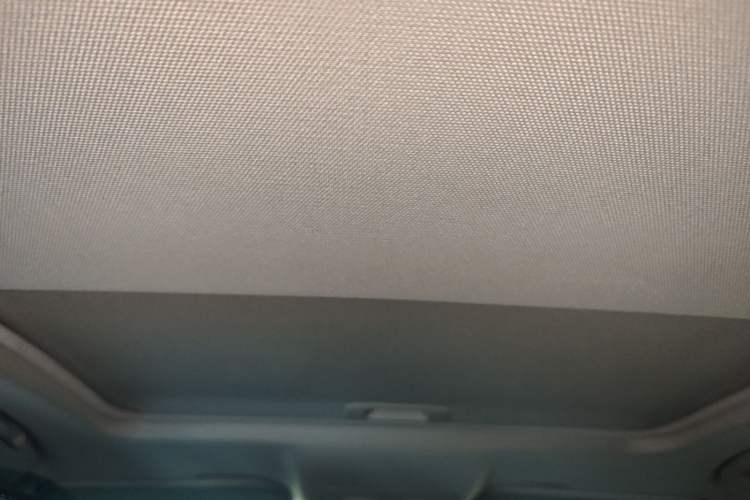 Used Hongqi H5 2019 30TD Dynamic Edition Headliner