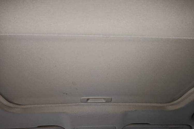 Used Hongqi H5 2019 30TD Smart Connect Dynamic Edition Headliner