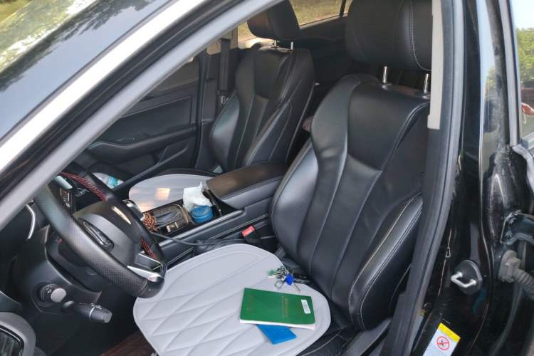 Used Hongqi H5 2019 30TD Dynamic Edition Left Front Seat