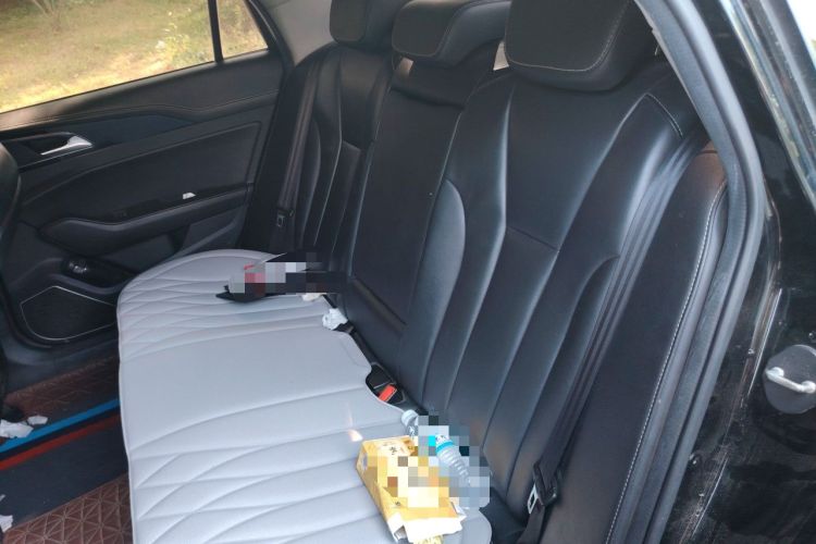 Used Hongqi H5 2019 30TD Dynamic Edition Left Rear Seat