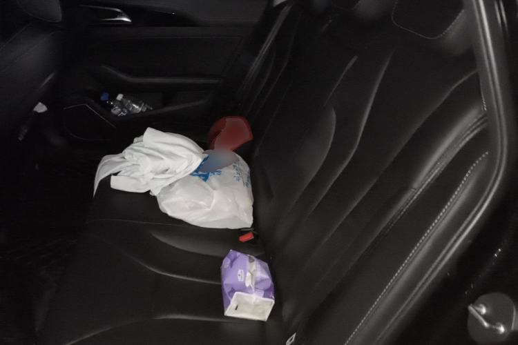 Used Hongqi H5 2019 30TD Dynamic Edition Left Rear Seat