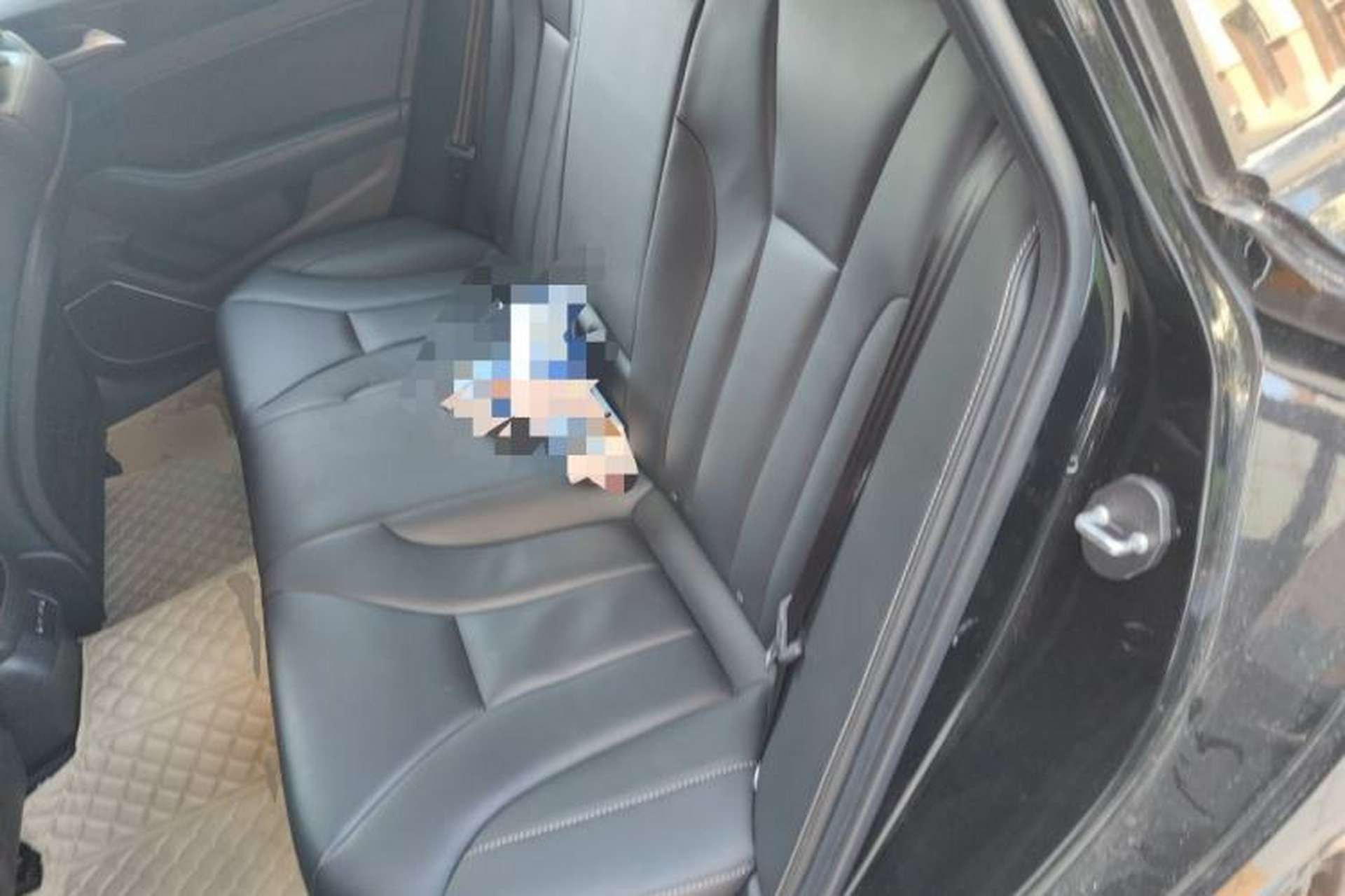 Used Hongqi H5 2019 30TD Dynamic Edition Left Rear Seat