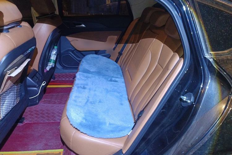 Used Hongqi H5 2019 30TD Dynamic Edition Left Rear Seat