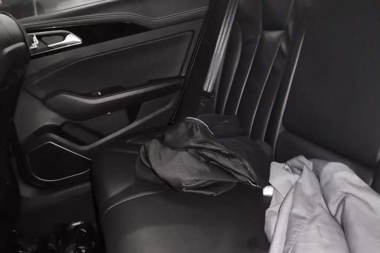 Used Hongqi H5 2019 30TD Dynamic Edition Left Rear Seat
