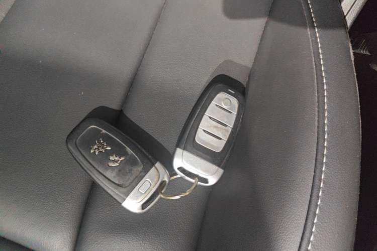 Used Hongqi H5 2019 30TD Dynamic Edition Vehicle Key