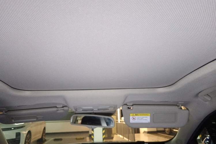 Used Hongqi H5 2019 30TD Smart Connect Enjoy Edition Headliner