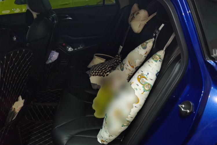 Used Hongqi H5 2019 30TD Dynamic Edition Left Rear Seat
