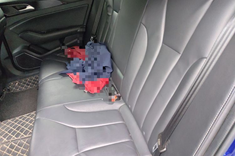 Used Hongqi H5 2019 30TD Dynamic Edition Left Rear Seat